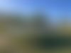 IMG_9884.jpeg