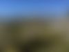 IMG_9896.jpeg