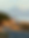 IMG_2108.jpeg