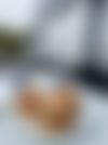 IMG_9996.jpeg