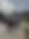 IMG_0009.jpeg