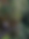 IMG_0212.jpeg