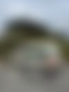 IMG_0236.jpeg