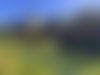 IMG_9607.jpeg